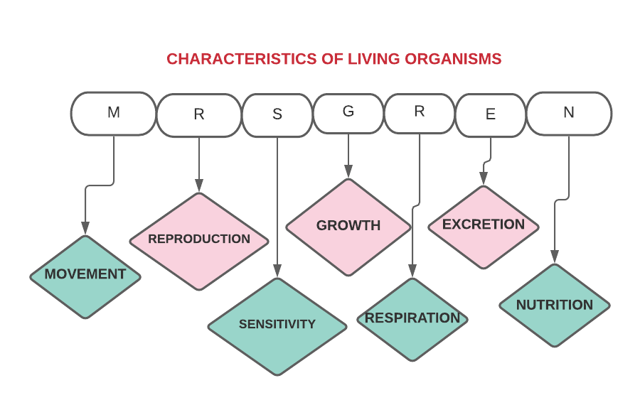 Characteristics-of-living-organisms