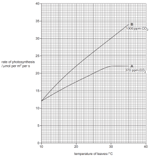 igcse biology model solutions photosynthesis