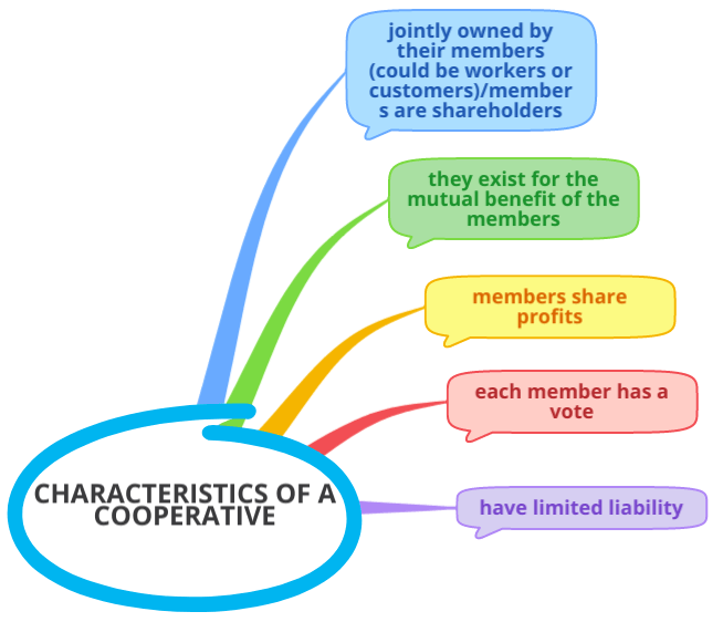 characteristics-of-a-cooperative-igcse-economics