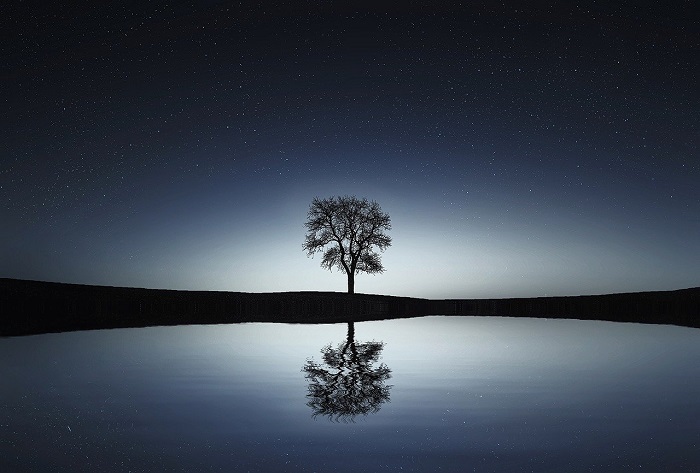 reflection-in-a-plane-mirror