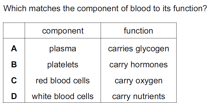 Quiz Image