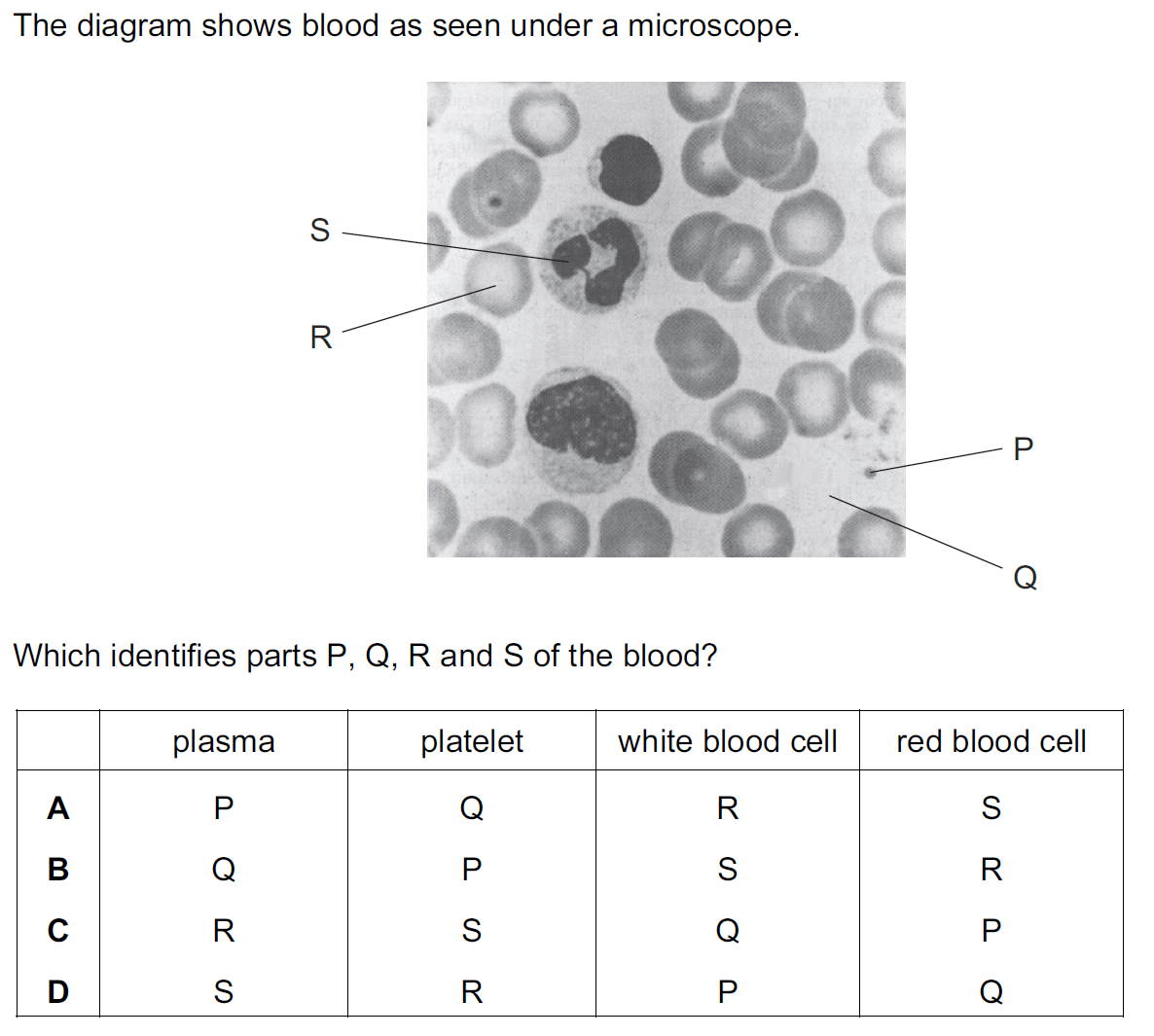 Quiz Image