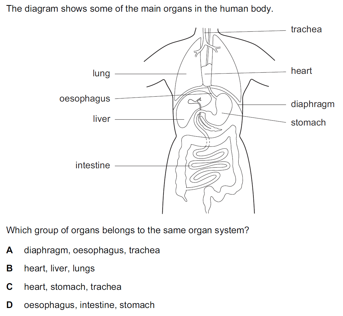 Quiz Image