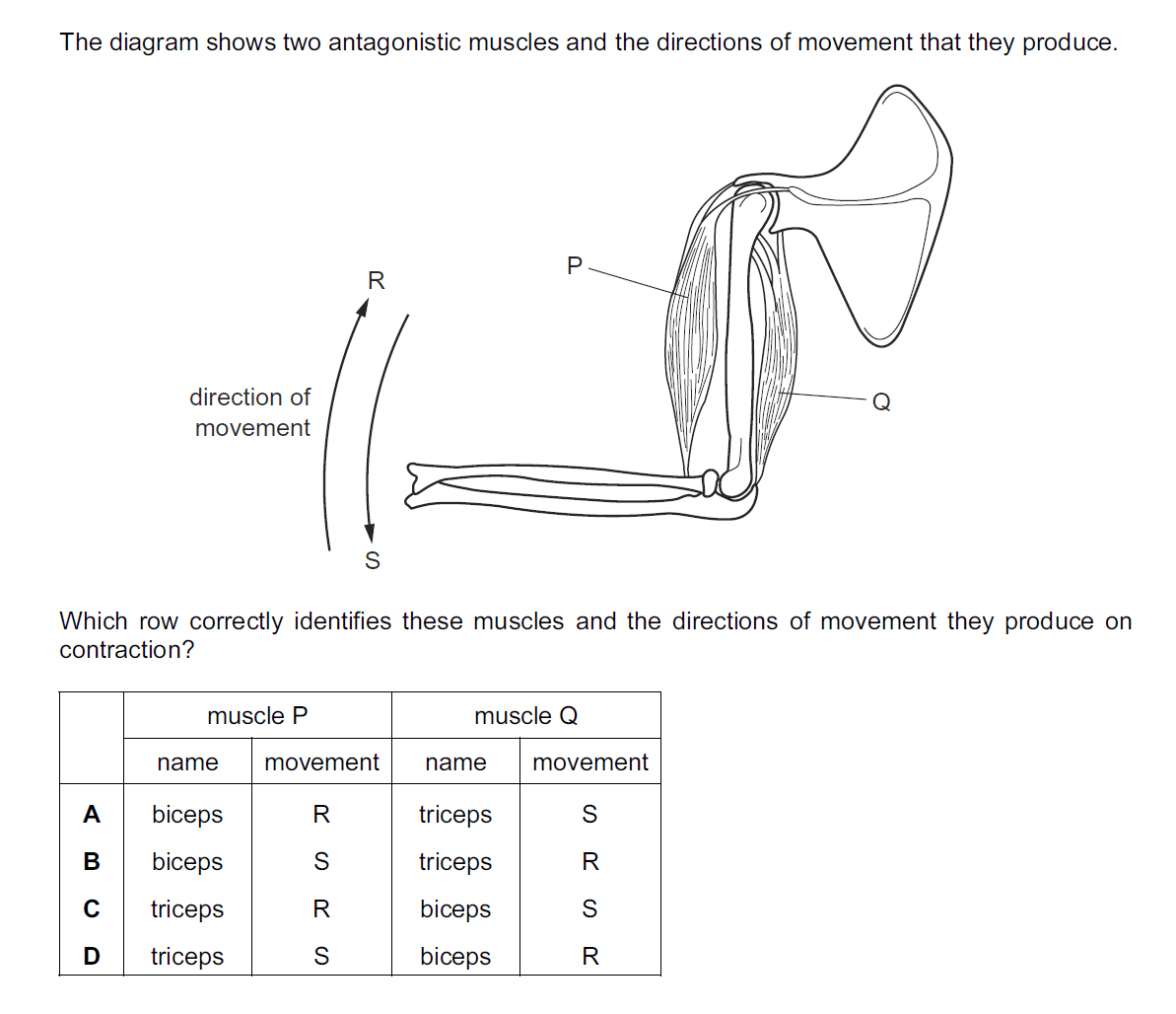 Quiz Image