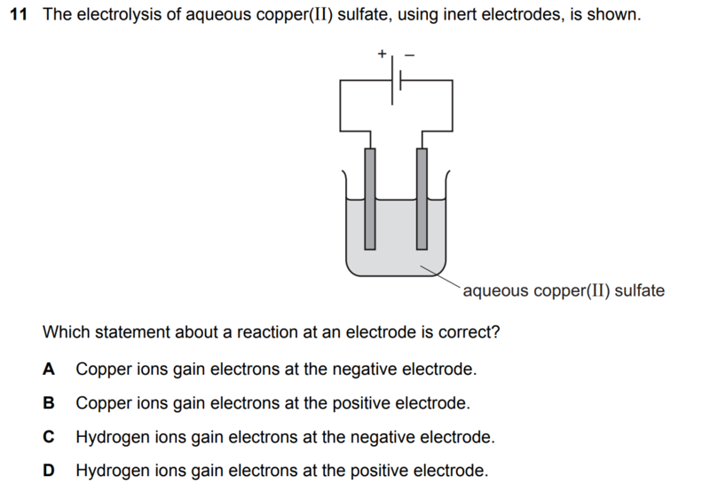 Quiz Image