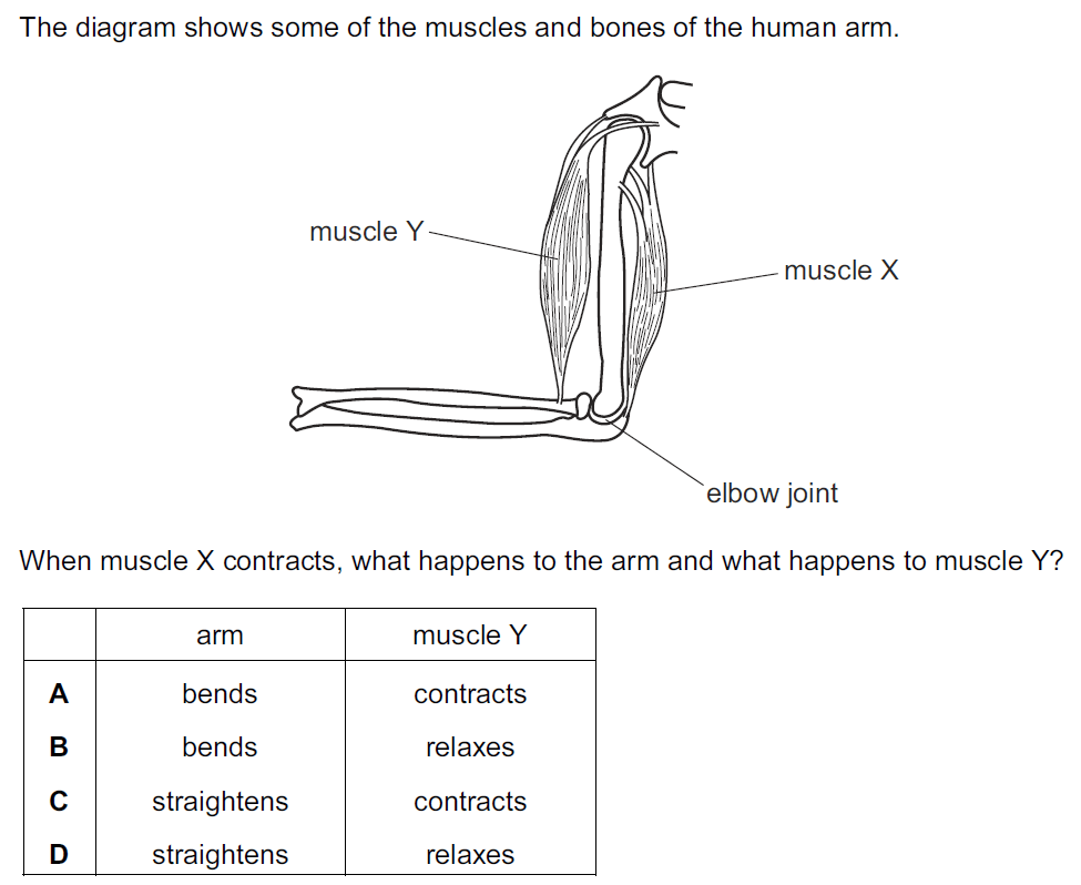 Quiz Image