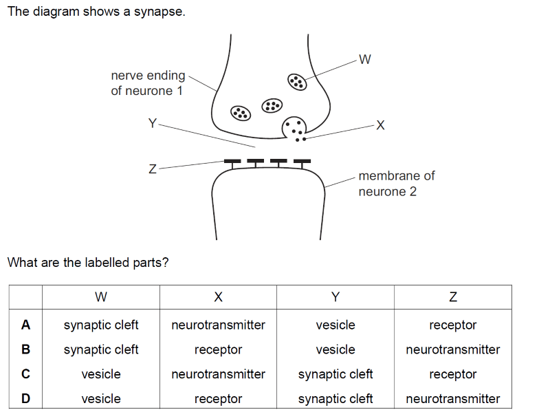 0610 IGCSE Biology | Smart Exam Resources 0610 IGCSE Biology | Smart Exam Resources