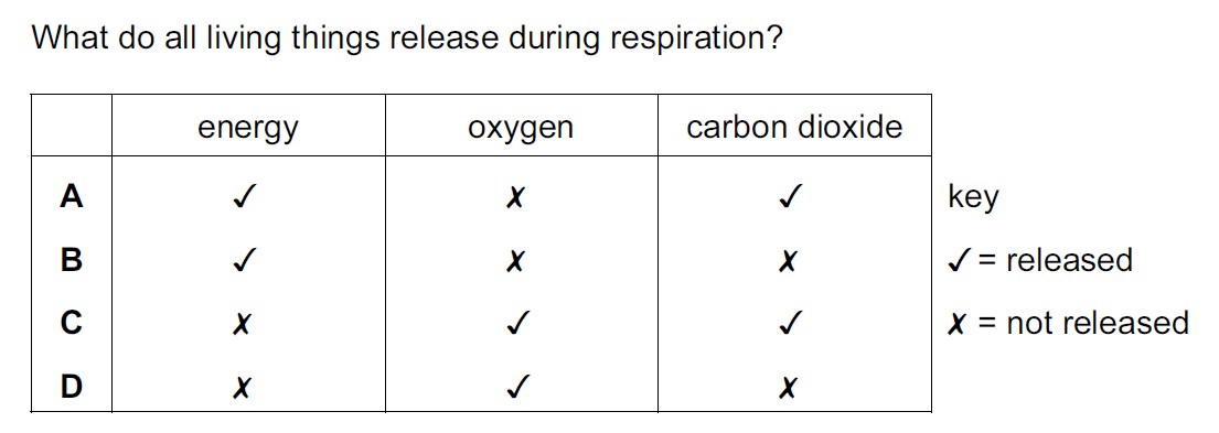 Quiz Image