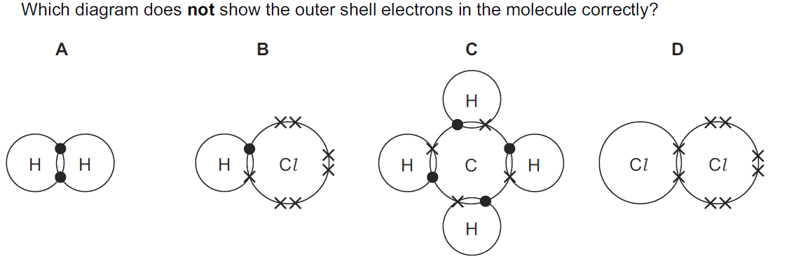 Quiz Image