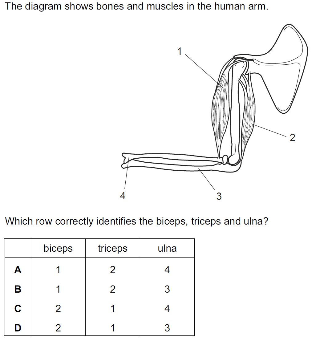 Quiz Image