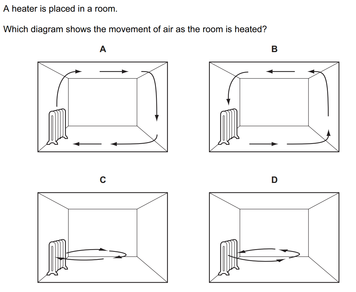 Quiz Image