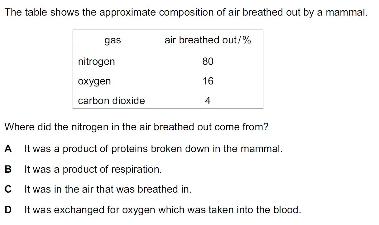 Quiz Image