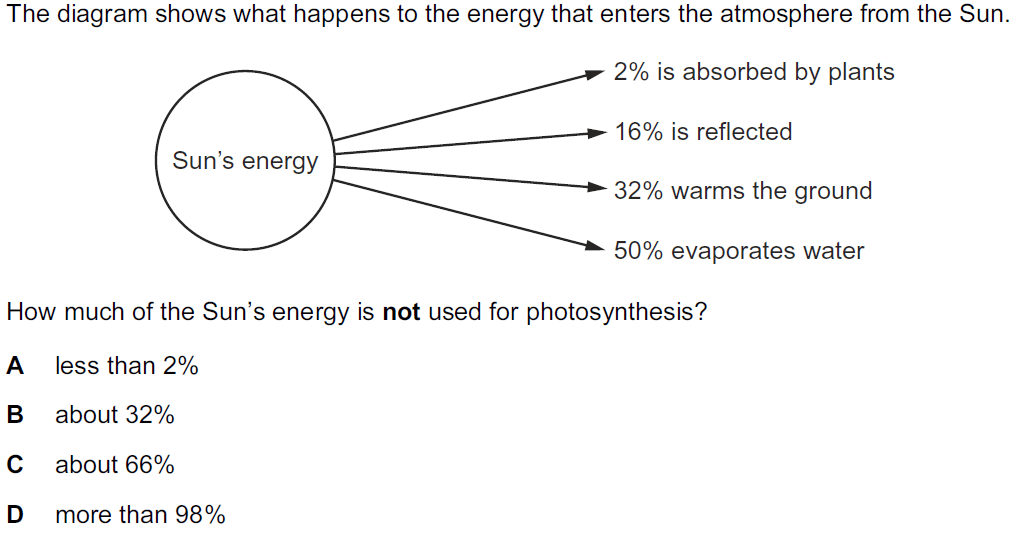 Quiz Image