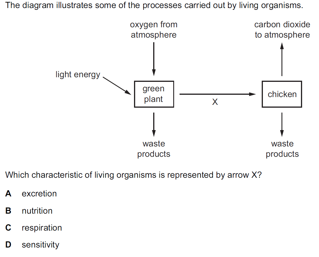 Quiz Image