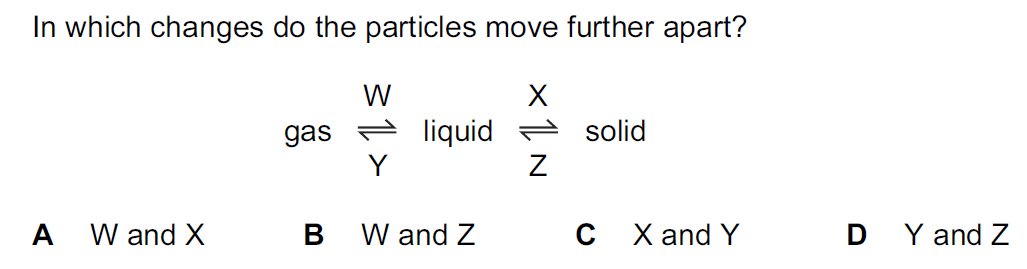 Quiz Image