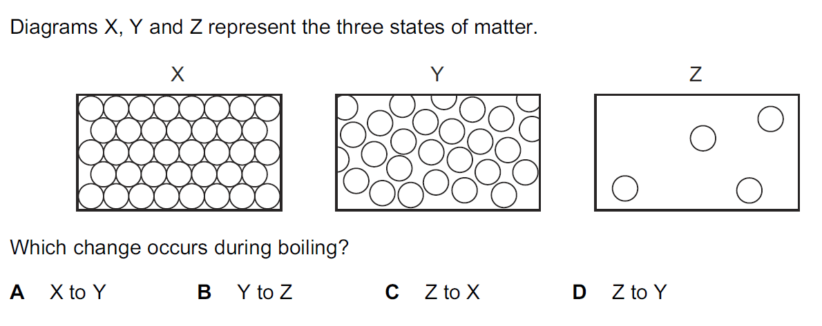 Quiz Image