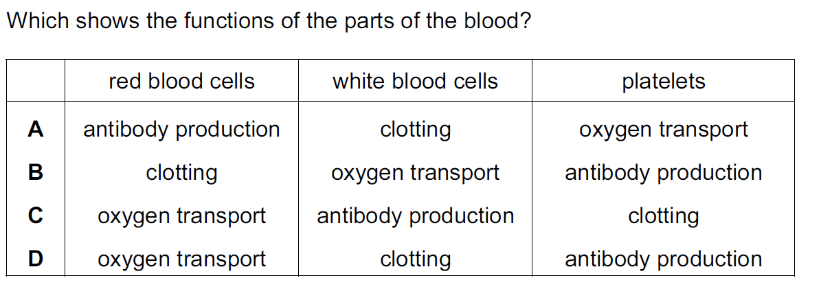 Quiz Image