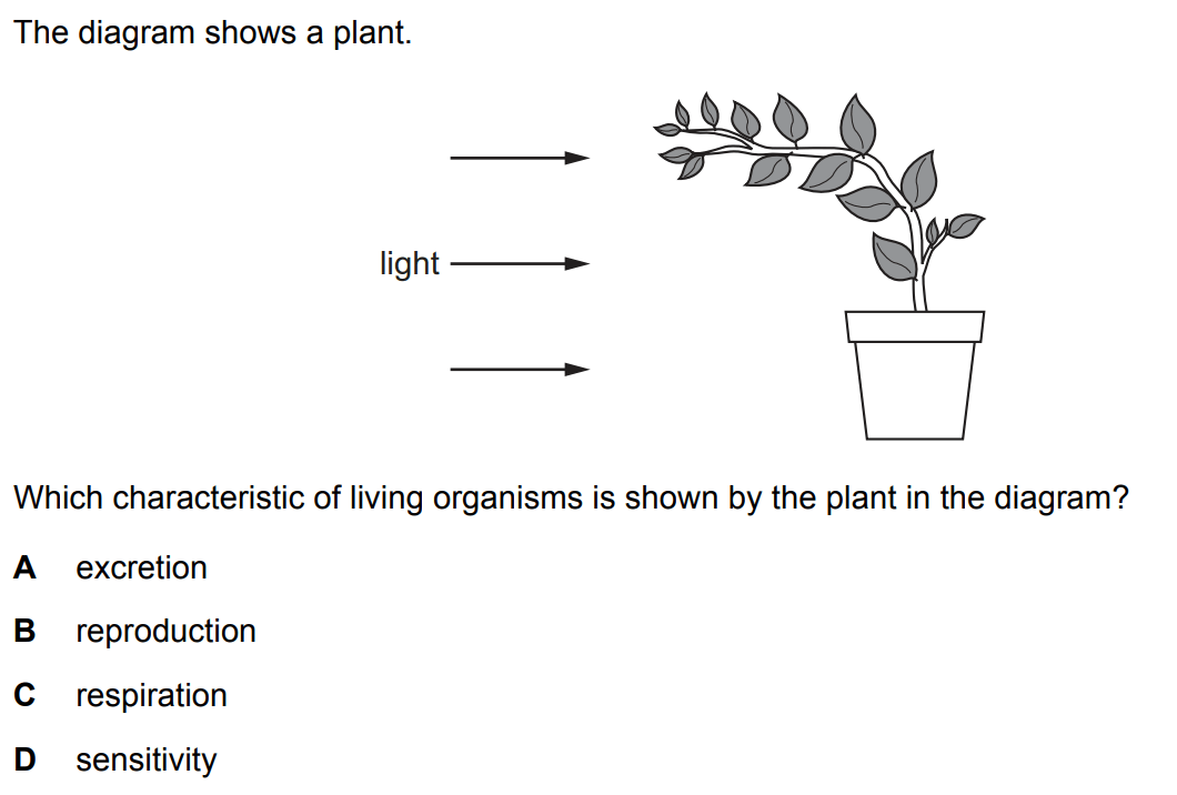 Quiz Image