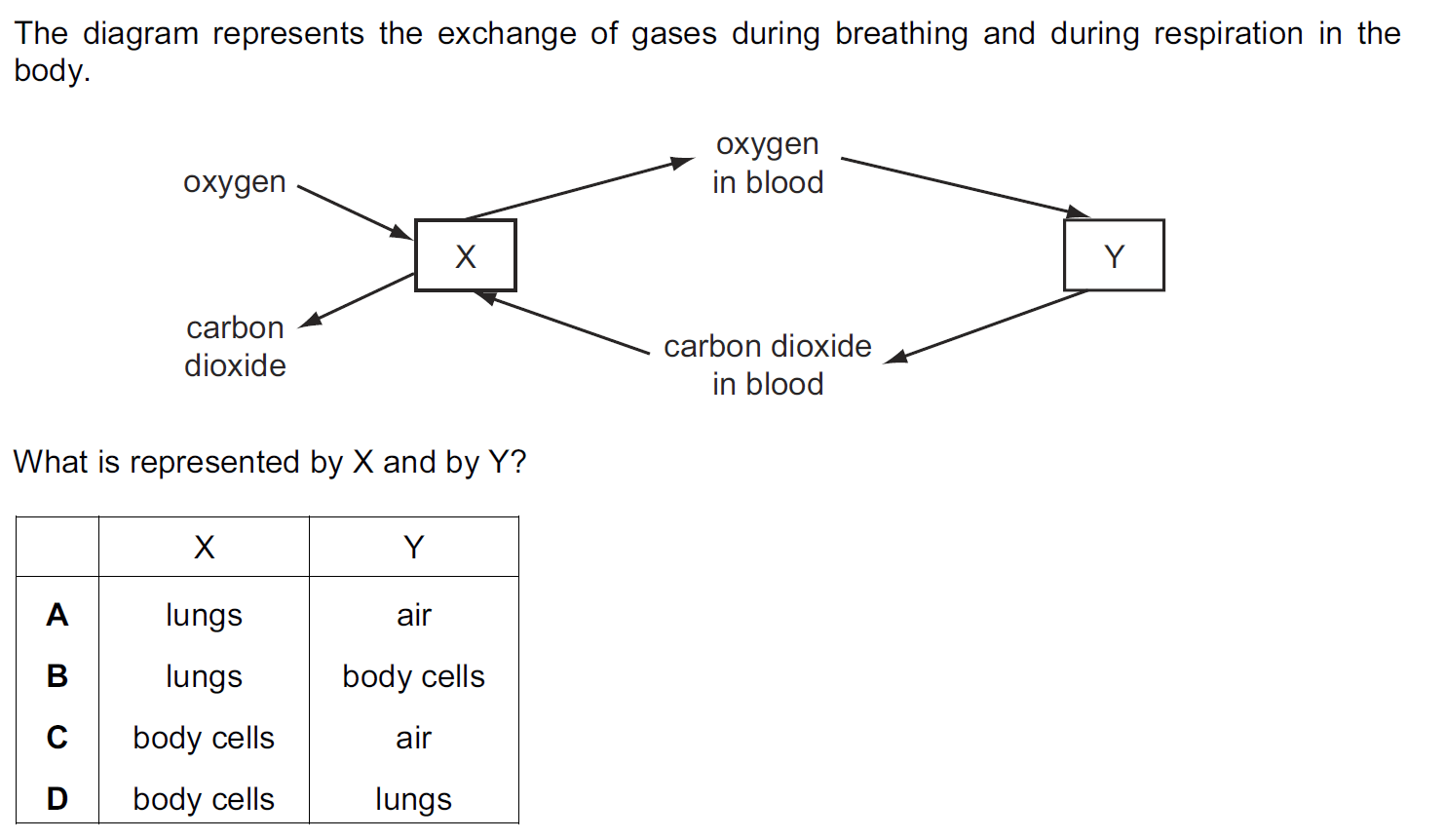 Quiz Image