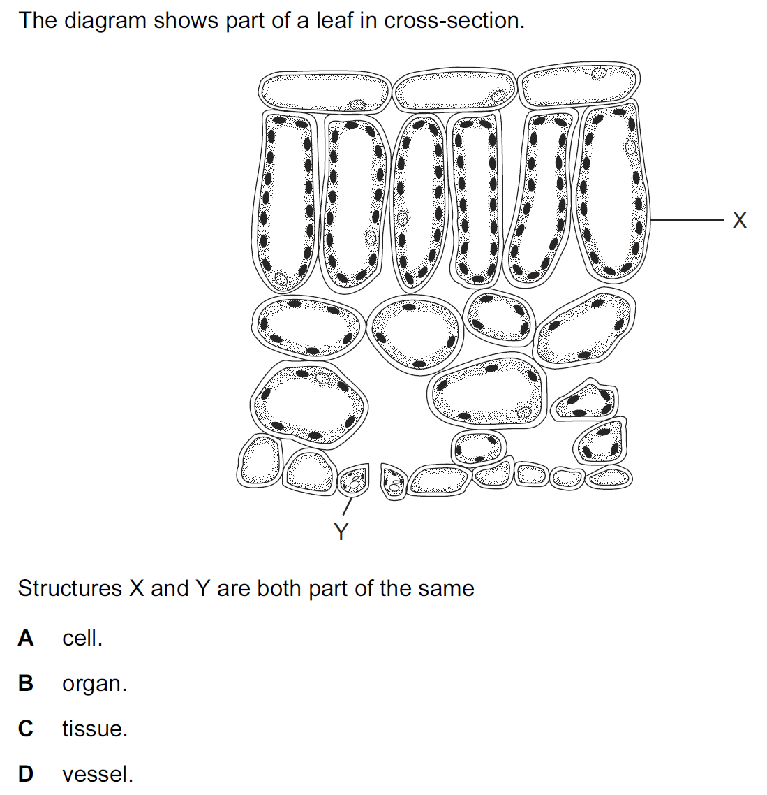 Quiz Image