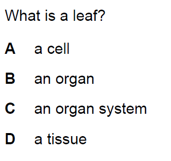 Quiz Image