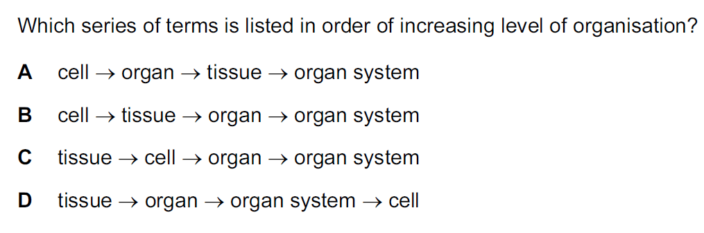 Quiz Image