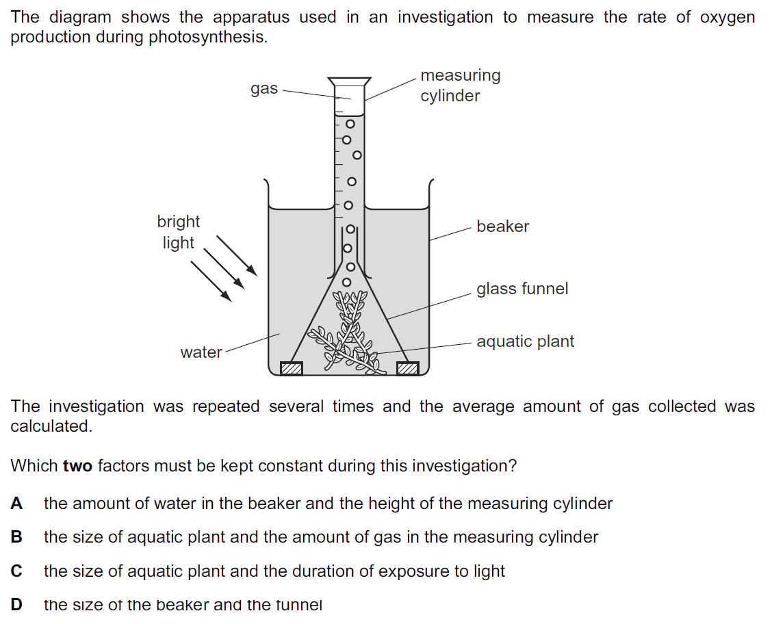 Quiz Image