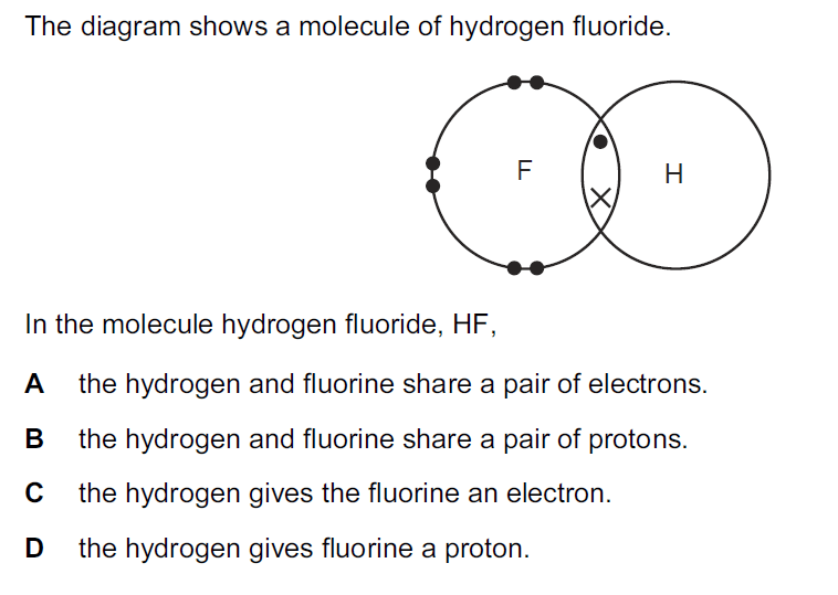 Quiz Image