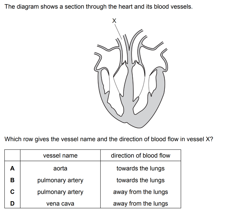 Quiz Image