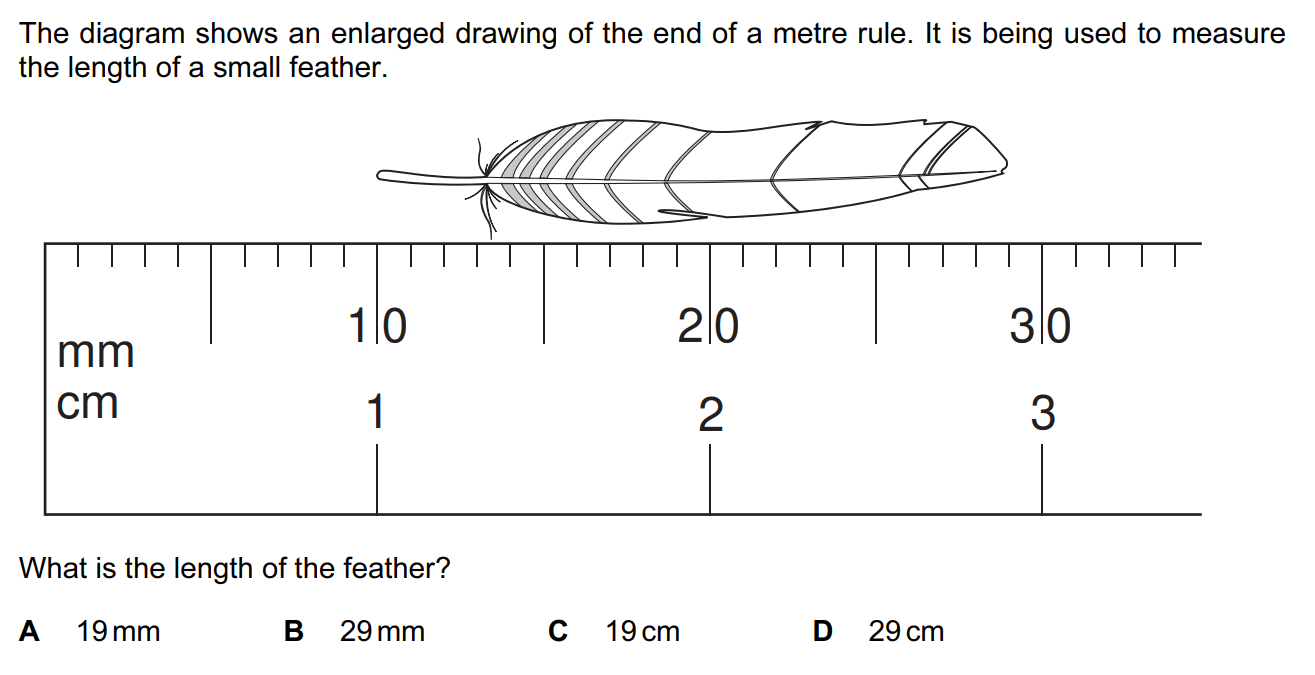 Quiz Image